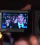 geminiredcarpet_001_0265.jpeg