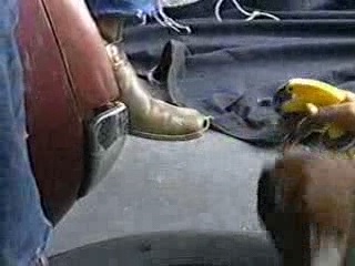 BFDKNYPS_01_0275.jpg