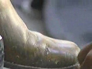 BFDKNYPS_01_0285.jpg