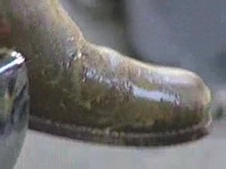 BFDKNYPS_01_0292.jpg
