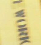 BFDKNYPS_01_0126.jpg