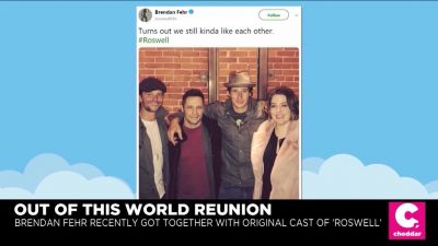 dotwint_01_1015.jpeg