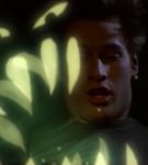 tnaf_000_1348.jpeg