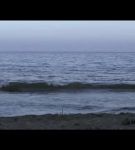 Filename=bandtpromol_002_0575.jpeg
Filesize=14KiB
Dimensions=640x360
Date added=Oct 11, 2020 bandtpromol_002_0575.jpeg