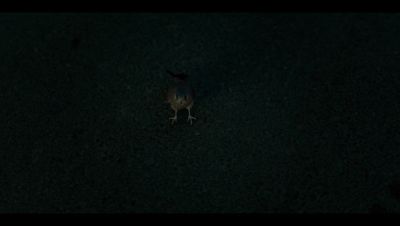 000_001_0634.jpeg