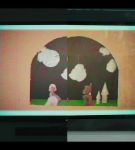 000_001_0571.jpeg