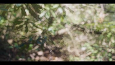 Click to view full size image
==============
000_001_0007.jpeg 000_001_0007.jpeg