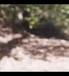 Filename=000_001_0004.jpeg
Filesize=303KiB
Dimensions=1920x1088
Date added=May 11, 2025 000_001_0004.jpeg