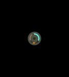 000_001_0120.jpeg