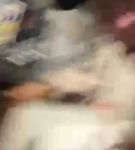 igtvbf_01_0662.jpeg