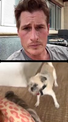 igtvbf_01_1999.jpeg
