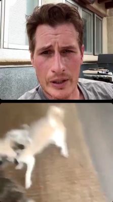 igtvbf_01_2004.jpeg