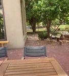 igtvbf_01_0997.jpeg