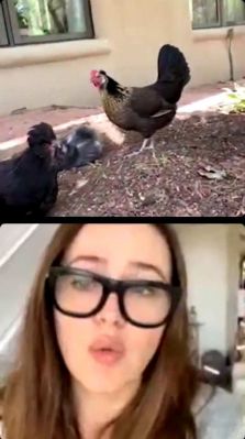 bfig426_001_4033.jpeg