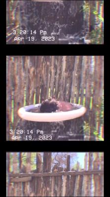 000_01_0023.jpeg
