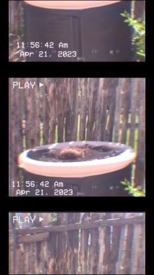 000_01_0064.jpeg