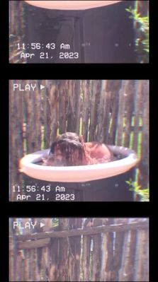000_01_0066.jpeg