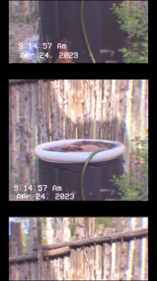 000_01_0019.jpeg