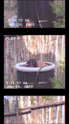 Click to view full size image
==============
000_01_0020.jpeg 000_01_0020.jpeg