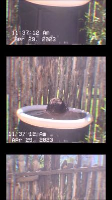 000_01_0079.jpeg