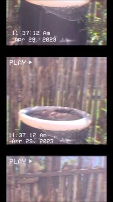000_01_0080.jpeg