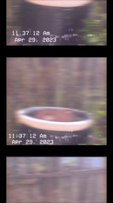 000_01_0081.jpeg