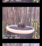 Filename=000_01_0079.jpeg
Filesize=152KiB
Dimensions=608x1088
Date added=Nov 06, 2023 000_01_0079.jpeg