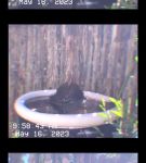 000_01_0025.jpeg