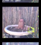 000_01_0029.jpeg