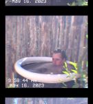 000_01_0031.jpeg