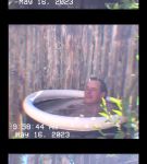 000_01_0035.jpeg