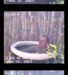 000_01_0036.jpeg