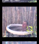 000_01_0037.jpeg