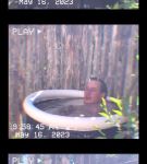 000_01_0038.jpeg