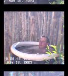 000_01_0041.jpeg
