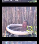 000_01_0045.jpeg