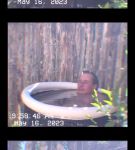 000_01_0047.jpeg