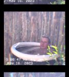 000_01_0049.jpeg