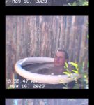 000_01_0051.jpeg