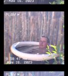000_01_0054.jpeg
