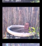 000_01_0061.jpeg