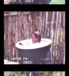 000_01_0071.jpeg