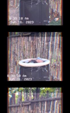 000_01_0019.jpeg