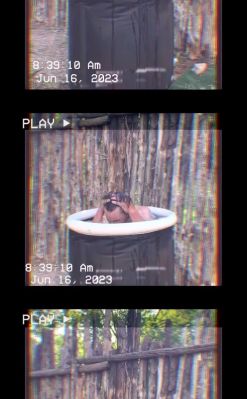 Click to view full size image
==============
000_01_0020.jpeg 000_01_0020.jpeg