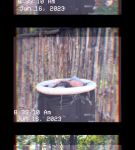 000_01_0019.jpeg