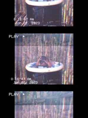 000_01_0044.jpeg
