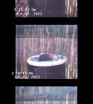 Filename=000_01_0043.jpeg
Filesize=98KiB
Dimensions=608x816
Date added=Nov 06, 2023 000_01_0043.jpeg