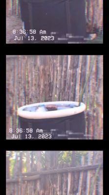 000_01_0023.jpeg