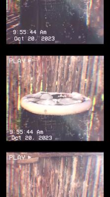 000_01_0032.jpeg