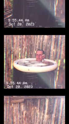 000_01_0047.jpeg